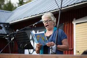 Nopankylän kesäjuhla 2015. Kuvaus: Toni Tuomela.